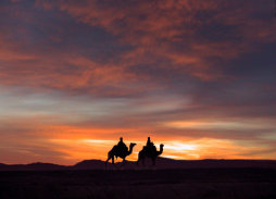 Sarhara - Morocco (20)