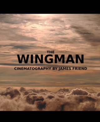 Sony: "The Wingman"
